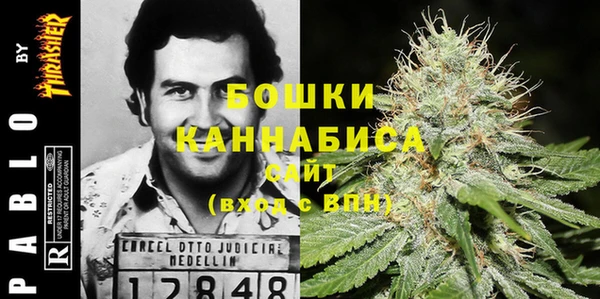 дживик Богданович