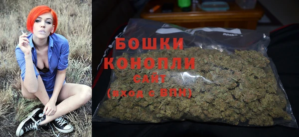 дживик Богданович