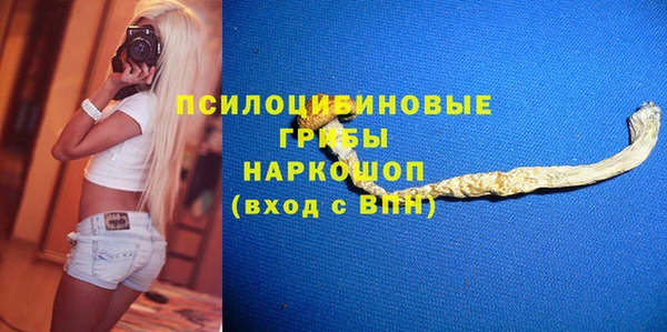 дживик Богданович