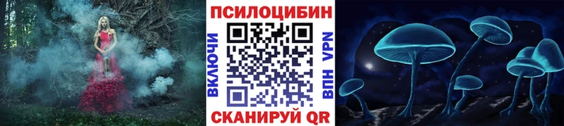 мега ONION  что такое   Берёзовка  Галлюциногенные грибы мицелий 